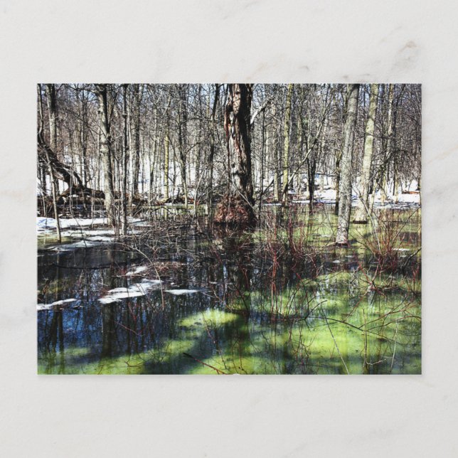 Cartão Postal Mont-Royal (Frente)