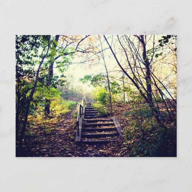 Cartão Postal Mont-Royal Automne (Frente)