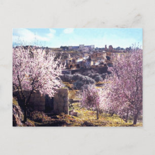 Cartão Postal Montagem Vintage De Olives Jerusalém Israel 1950 -