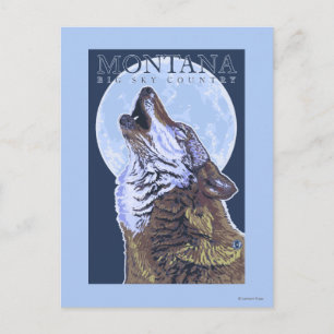Cartão Postal Montana - Big Sky CountryHowling Wolf