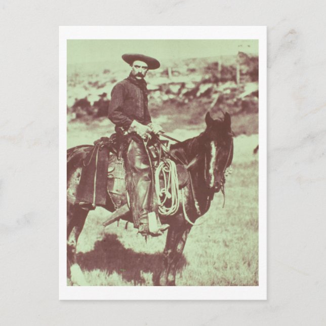 Cartão Postal Montana Cowboy, c.1880 (foto b/c) (Frente)