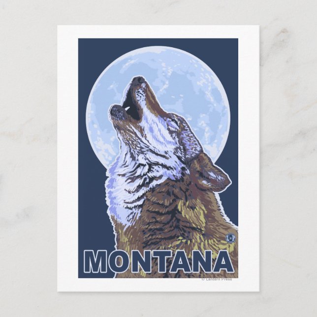 Cartão Postal MontanaWolf Howling (Frente)