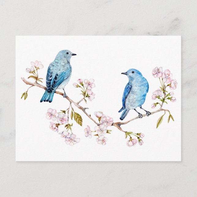 Cartão Postal Montanha Bluebird na Seção Sakura (Frente)