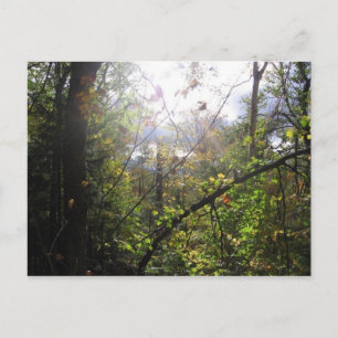 Cartão Postal montanha cascata