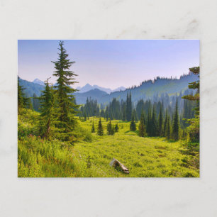 Cartão Postal Montanha e Paisagem Florestal Estado de Washington