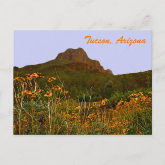 Cartão Postal Montanha Tucson e Flores Selvagens em Sunset