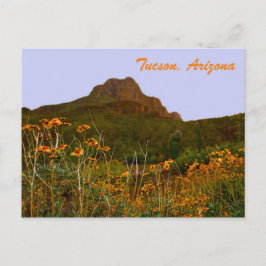 Cartão Postal Montanha Tucson e Flores Selvagens em Sunset