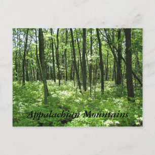 Cartão Postal Montanhas Appalachian