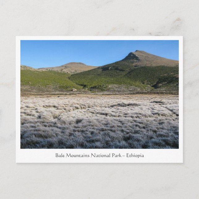 Cartão Postal Montanhas Bale Etiópia (Frente)
