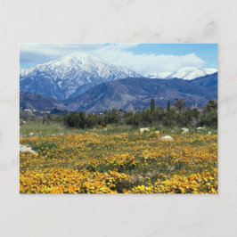 Cartão Postal Montanhas de San Bernardino, neve, flores