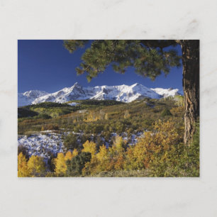 Cartão Postal Montanhas de San Juan e árvores Aspen em cor de ou