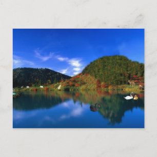 Cartão Postal Montanhas do lago Swan