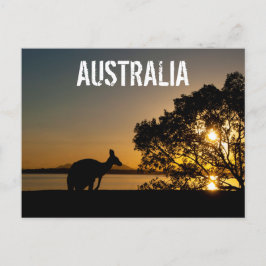 Cartão Postal Montanhas do Queensland na Austrália Canguru Pôr d