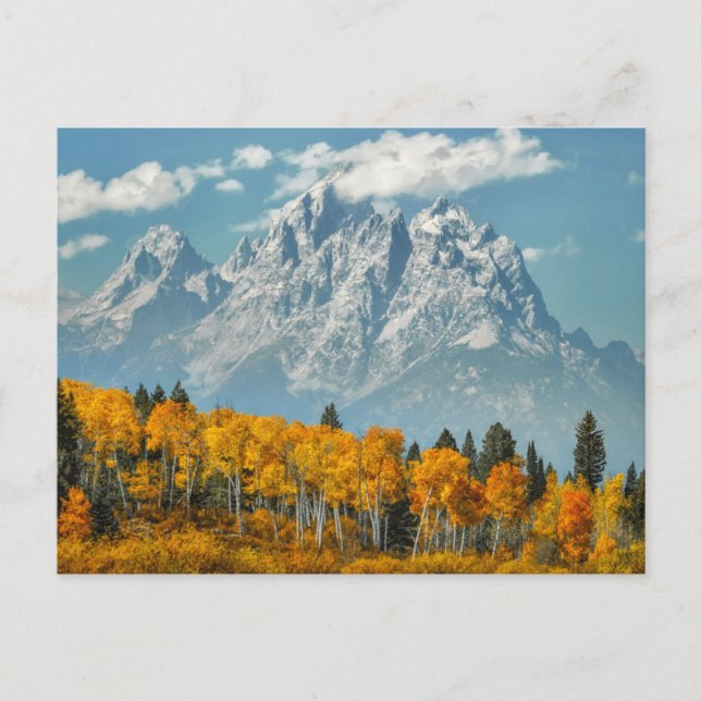 Cartão Postal Montanhas Grand Teton na Queda (Frente)