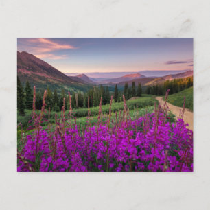 Cartão Postal Montanhas   Montanhas Rochosas, Colorado