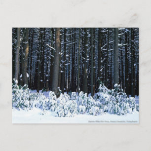 Cartão Postal Montanhas Pocono. Pensilvânia