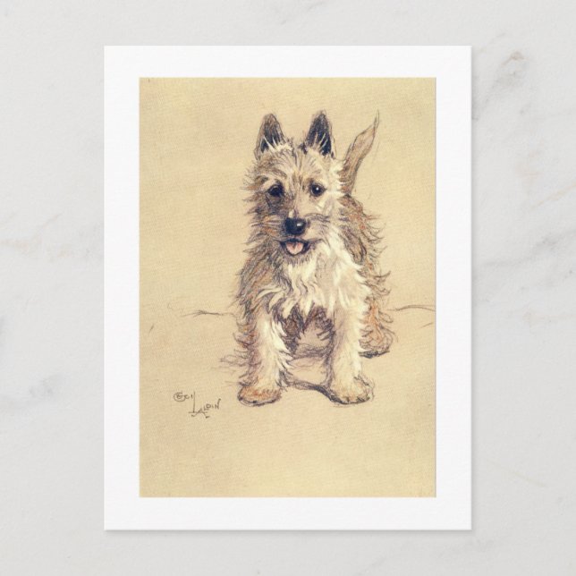 Cartão Postal Montanhas Terrier branco ocidentais (Frente)