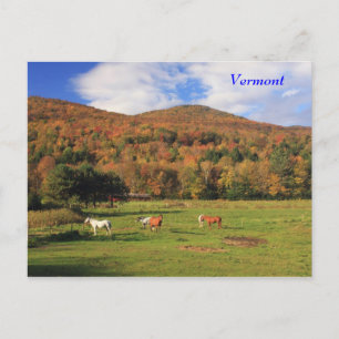 Cartão Postal Montanhas Verdes e Cavalos no outono