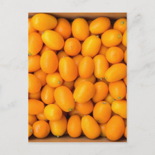 Cartão Postal Monte de kumquats laranja na caixa de papelão