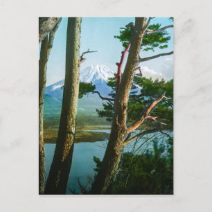 Cartão Postal Monte Fuji Através da Morning Woods Vintage Japã