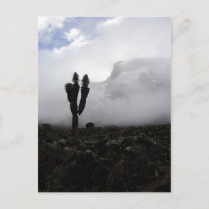 Cartão Postal Monte Kilimanjaro (retrato)