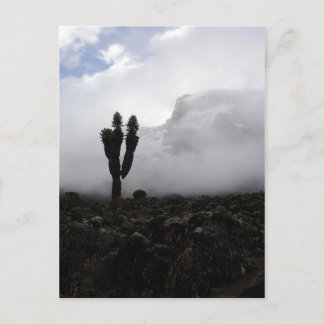 Cartão Postal Monte Kilimanjaro (retrato)