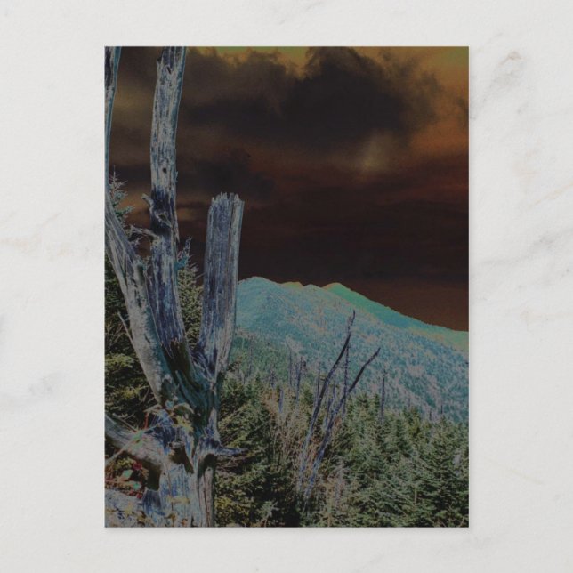Cartão Postal Monte Mitchell, Carolina do Norte (Frente)