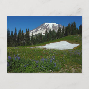 Cartão Postal Monte Rainier, Flores Selvagens e neve