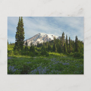 Cartão Postal Monte Rainier Morning Light