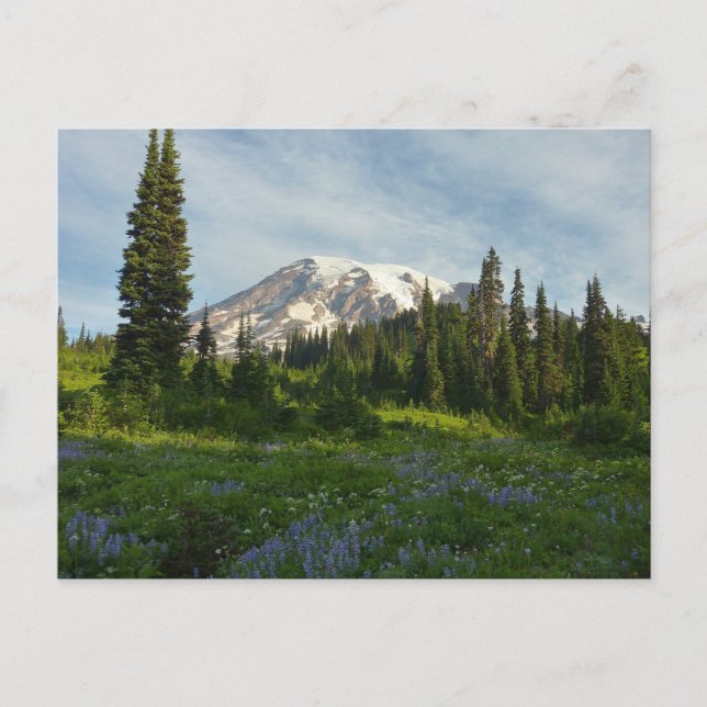 Cartão Postal Monte Rainier Morning Light (Frente)