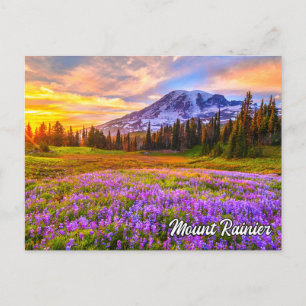 Cartão Postal Monte Rainier National Park, Washington