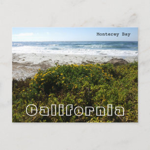 Cartão Postal Monterey Bay