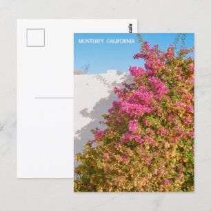 Cartão Postal Monterey Bay California Fotografia cinematográfi