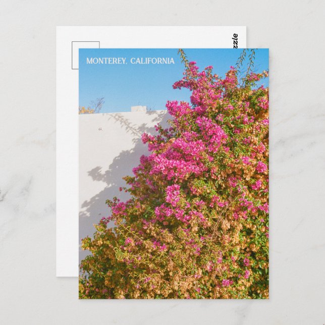 Cartão Postal Monterey Bay California | Fotografia cinematográfi (Frente/Verso)