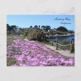 Cartão Postal Monterey Bay, Primavera postal