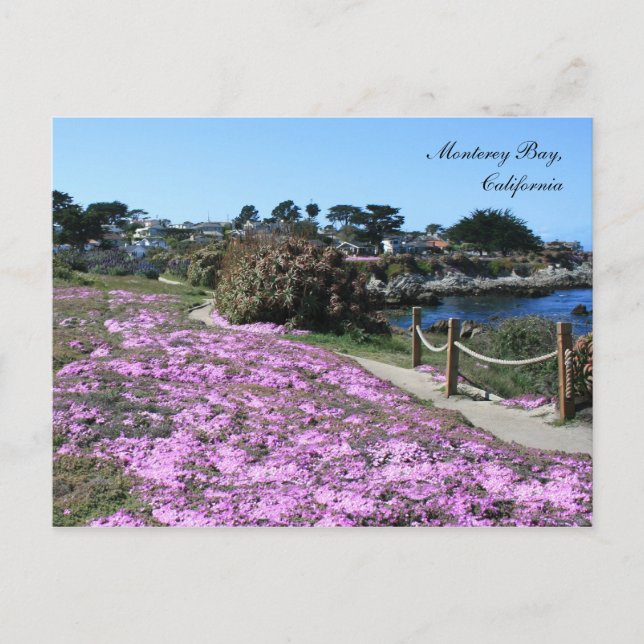 Cartão Postal Monterey Bay, Primavera postal (Frente)