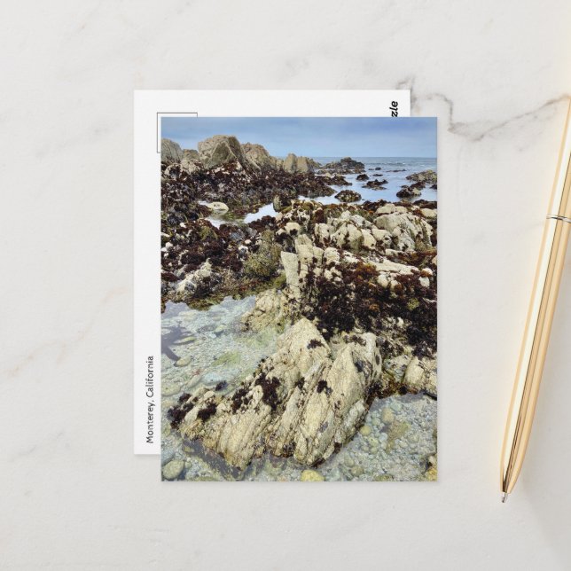 Cartão postal - Monterey, Califórnia (Frente/Verso In Situ)