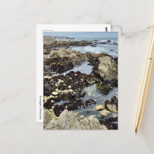 Cartão postal - Monterey, Califórnia