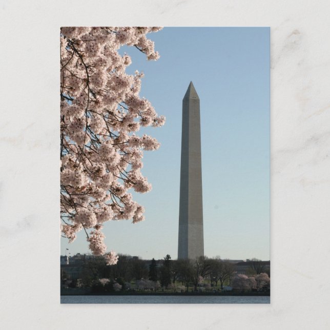 Cartão Postal Monumento a Washington (Frente)