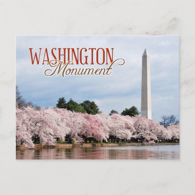 Cartão Postal Monumento a Washington com flores de cereja (Frente)