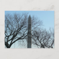 Monumento a Washington na paisagem do inverno I