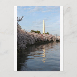 Cartão Postal Monumento de Cherry Blossom Washington