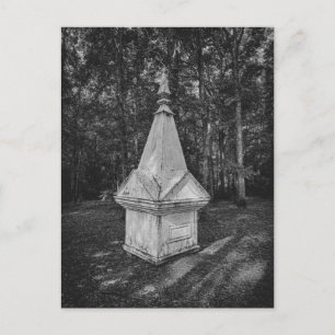 Cartão Postal Monumento Histórico de Madeira na Floresta Preto e