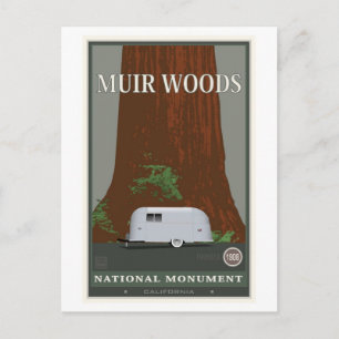 Cartão Postal Monumento Nacional de Muir Woods 1