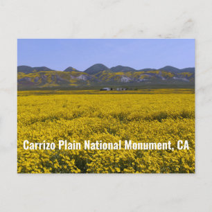 Cartão Postal Monumento Nacional do Carrizo Plain