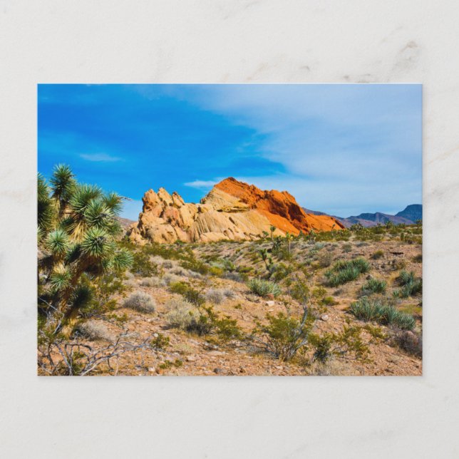 Cartão Postal Monumento Nacional Gold Butte, Whitney Pocket (Frente)