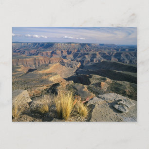 Cartão Postal Monumento Nacional Grand Canyon-Parashant, 2