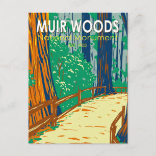 Cartão Postal Monumento Nacional Muir Woods Arte Vintage