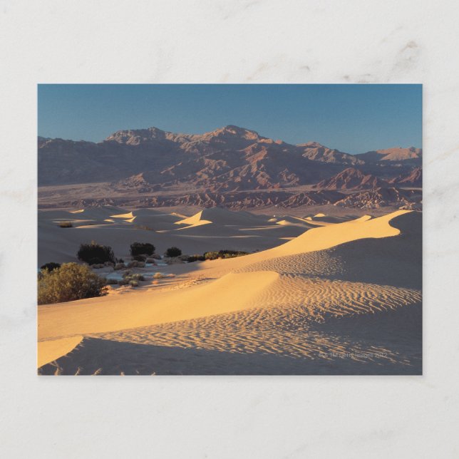 Cartão Postal Monumento Nacional Vale da Morte, Califórnia (Frente)