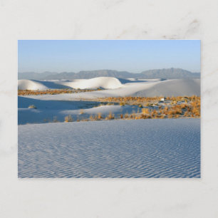 Cartão Postal Monumento Nacional White Sands, Dunas Transversais